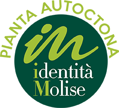 Autoctona